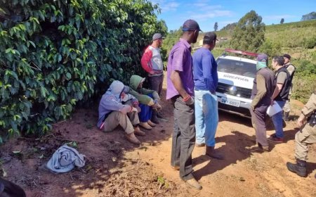 Criança de apenas 12 anos é resgatada de trabalho análogo à escravidão no Sul de Minas