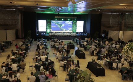 Avanço da colheita de café no Brasil e pressão sobre cotações será destaque no Encontro de Gestão dos Cafeicultores