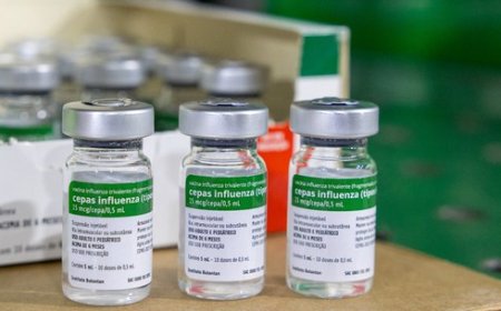 Mitos e verdades sobre a vacina contra a gripe: saiba como se proteger