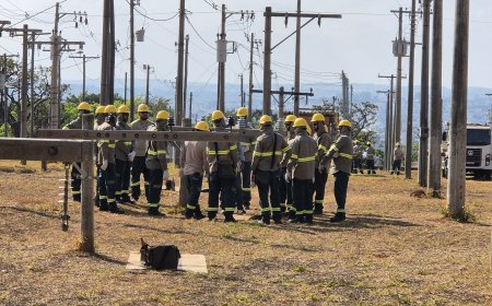 Cemig lança concurso público com 150 vagas para eletricistas