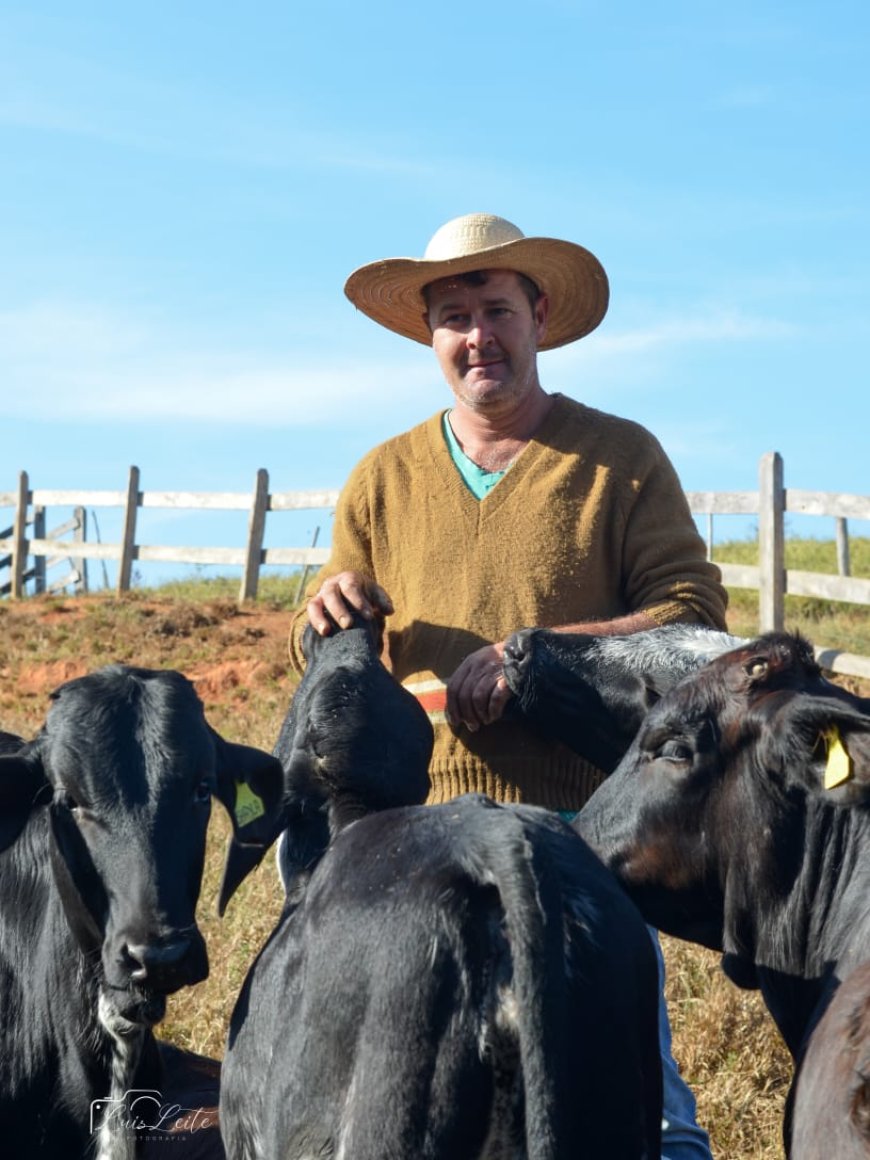 Pecuaristas do Sul de Minas investem na melhoria genética