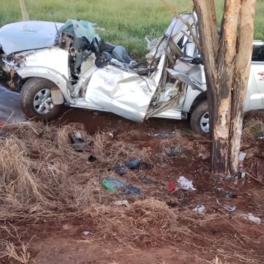 Condutor de 47 anos perde a vida após bater violentamente em árvore na MG-179