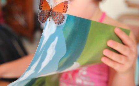 Formação de cidadão