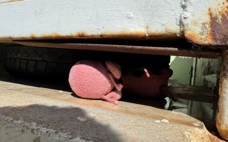 Cárcere Privado em Guaxupé: Polícia investiga se criança mantida refém pelo tio foi estuprada