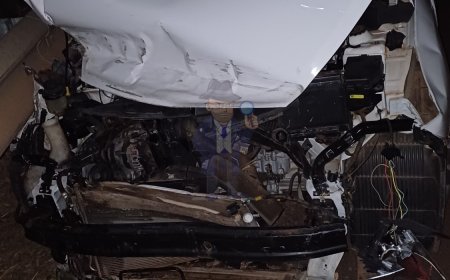 Enfermeiro de 36 anos fica ferido ao colidir veículo com uma capivara na SP-350, próximo a Itobi