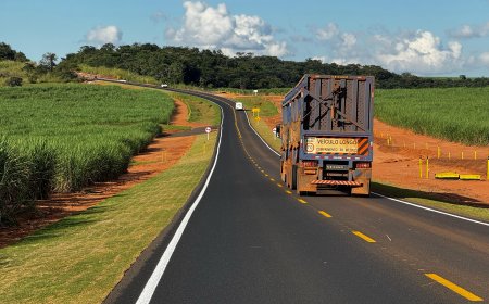 Governo de Minas orienta motoristas e oferece ferramenta de consulta das rodovias para viagens seguras durante férias escolares