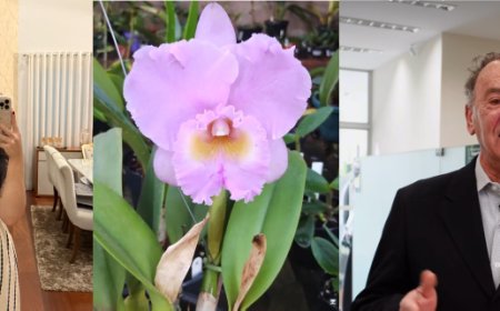 É neste final de semana a Festa Nacional de Orquídeas de Guaxupé