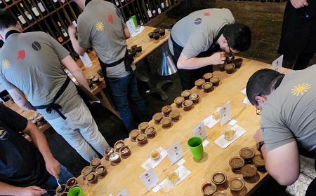 Emater-MG abre inscrições para o maior concurso de cafés especiais de estado