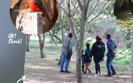 Encontro de observadores registra duas novas espécies de pássaros no Parque da Mogiana, em Guaxupé