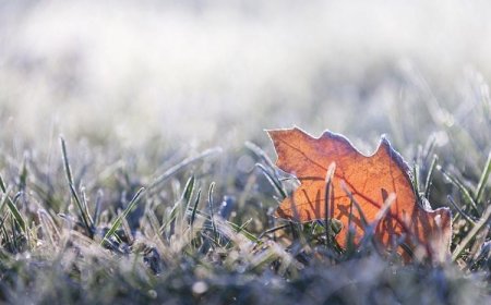 Frio intenso pode atingir mais da metade das cidades de MG, incluindo Guaxupé e Guaranésia