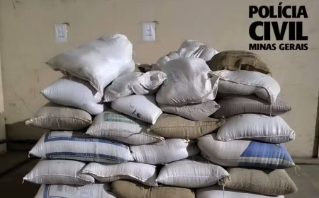 Sacas de café apreendidas no Sul de Minas estão avaliadas em mais de R$ 130 mil