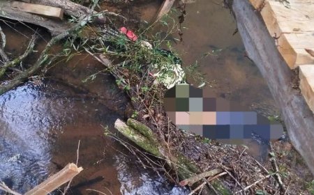 Em Jacuí, filho é suspeito de espancar a própria mãe e idoso até a morte