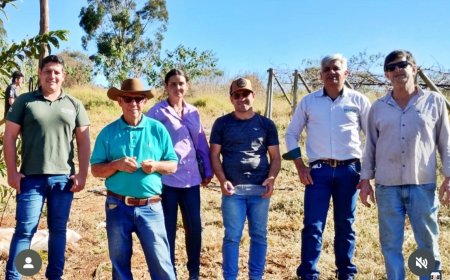 Visita técnica em Santa Cruz da Prata divulga informações sobre cultivo da maçã