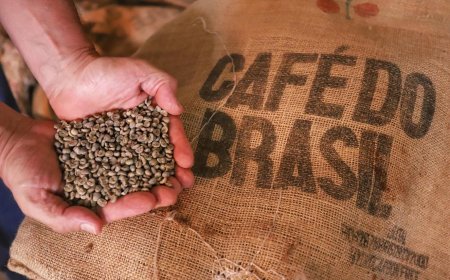 Após tarifaço, exportadores mineiros de café relatam paralisação em negociações