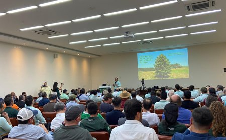 Safra de café apresenta menor rendimento em 2025 e novos desafios em 2026, aponta Fórum Técnico da Cooxupé