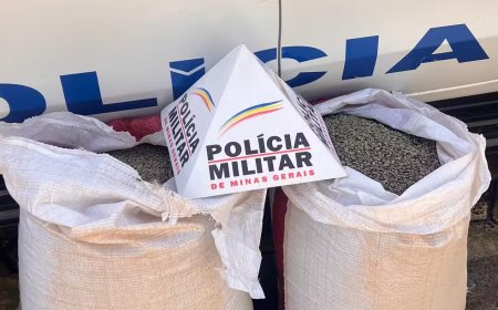 Suspeito de furtar e vender quase 100 Kg de café é preso em Alpinópolis