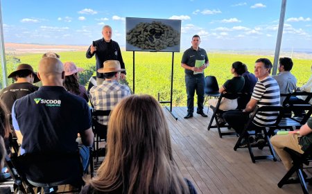 BDMG abre inscrições para capacitação gratuita em agricultura regenerativa com foco em pecuária bovina e pastagens