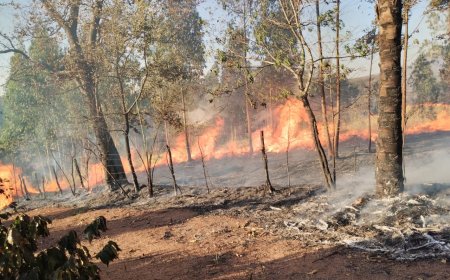 Bombeiros de Paraíso atuam em 30 ocorrências de incêndio durante o final de semana