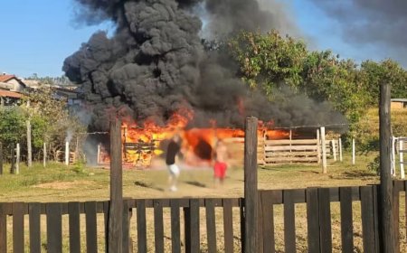 Cavalo morre queimado em incêndio em baia de fazenda em Itaú de Minas