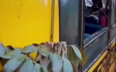 Em Nova Resende, ônibus escolar perde o controle e bate em barranco