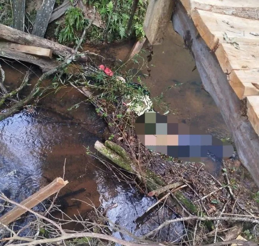 Em Jacuí, filho é suspeito de espancar a própria mãe e idoso até a morte