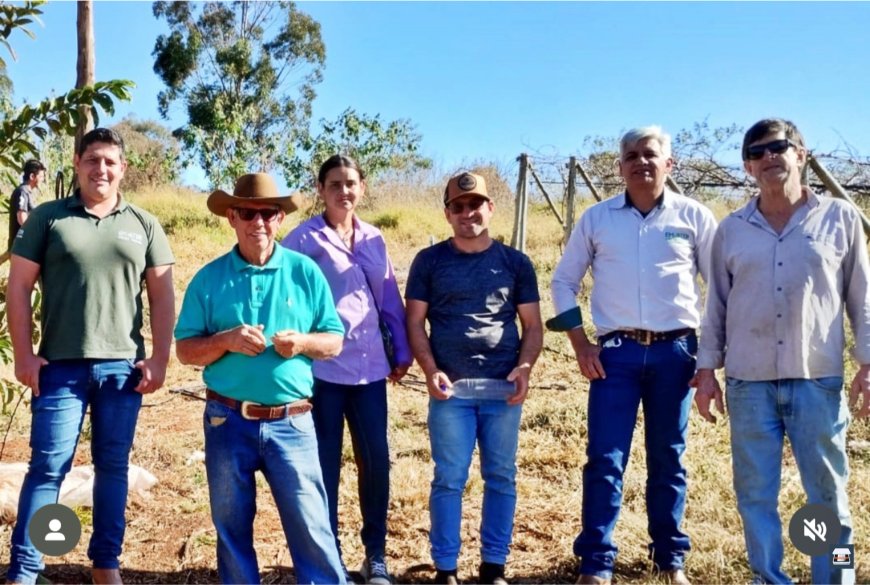 Visita técnica em Santa Cruz da Prata divulga informações sobre cultivo da maçã