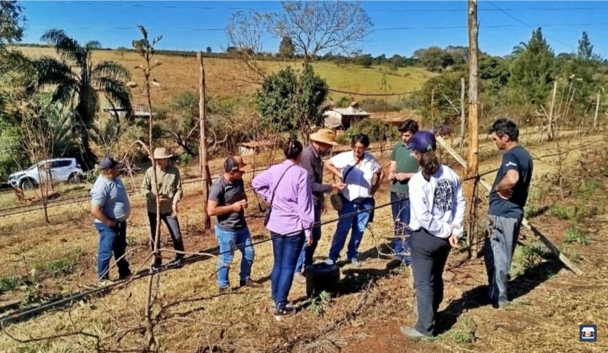 Visita técnica em Santa Cruz da Prata divulga informações sobre cultivo da maçã