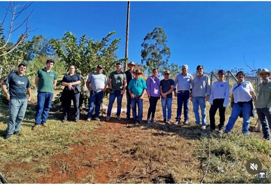 Visita técnica em Santa Cruz da Prata divulga informações sobre cultivo da maçã