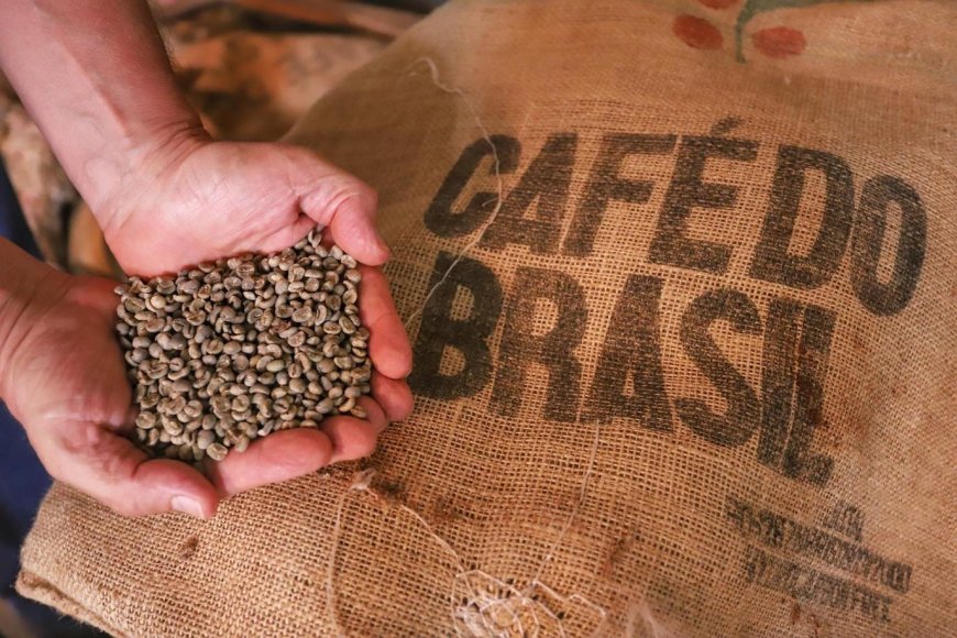 Após tarifaço, exportadores mineiros de café relatam paralisação em negociações