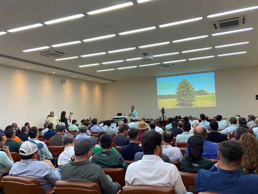 Safra de café apresenta menor rendimento em 2025 e novos desafios em 2026, aponta Fórum Técnico da Cooxupé