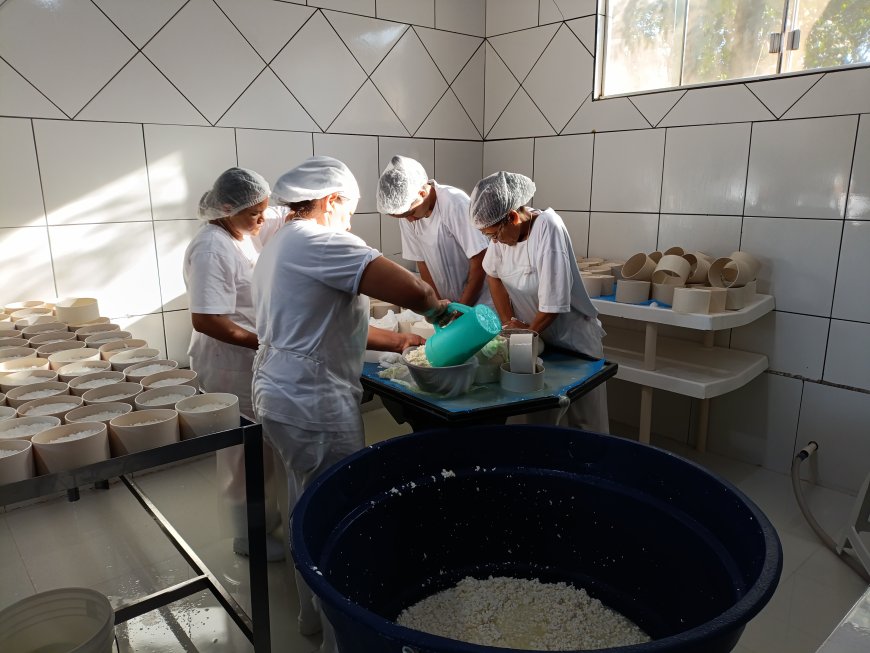 Instituto Mineiro de Agropecuária orienta sobre legalização de alimentos de origem animal