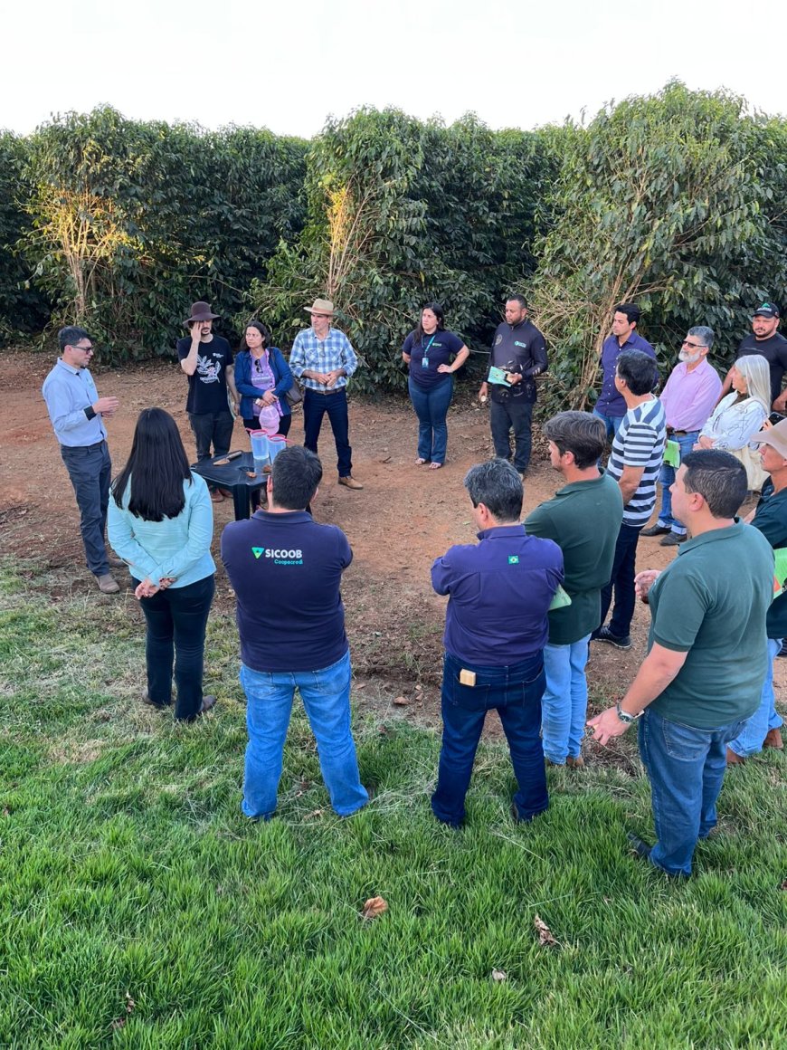 BDMG abre inscrições para capacitação gratuita em agricultura regenerativa com foco em pecuária bovina e pastagens