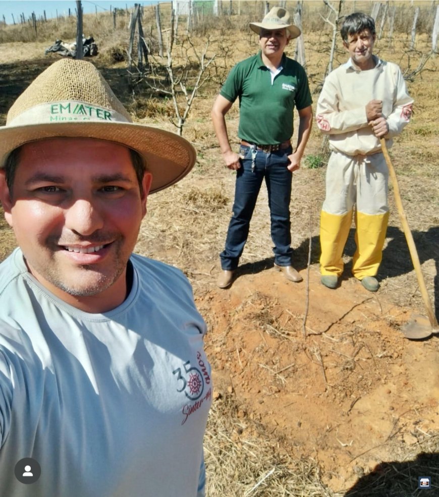 Produtores rurais de São Pedro da União implantam pomares de maçã no município