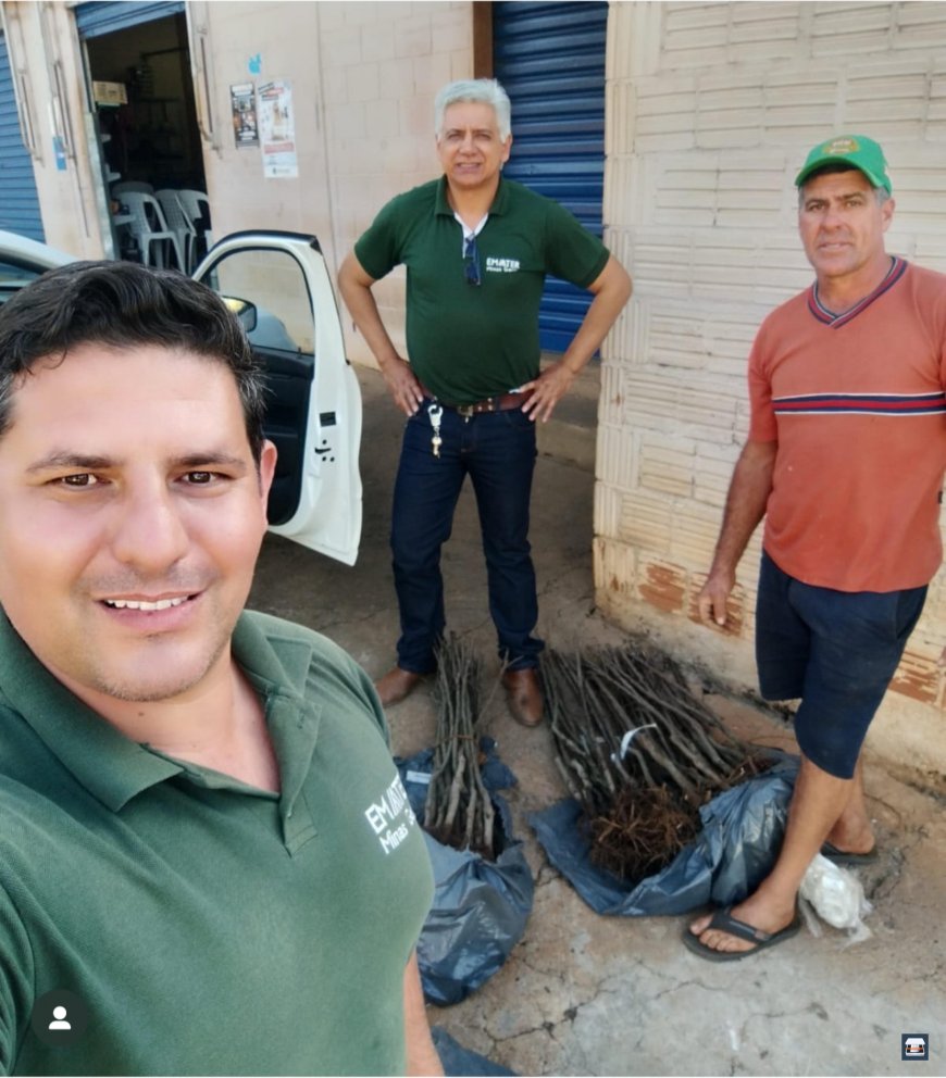 Produtores rurais de São Pedro da União implantam pomares de maçã no município