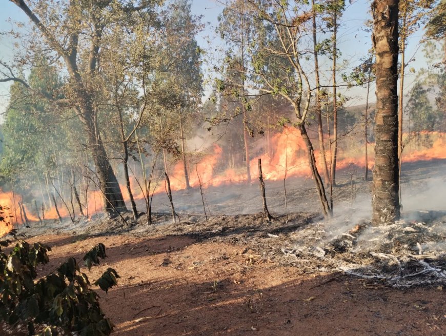 Bombeiros de Paraíso atuam em 30 ocorrências de incêndio durante o final de semana