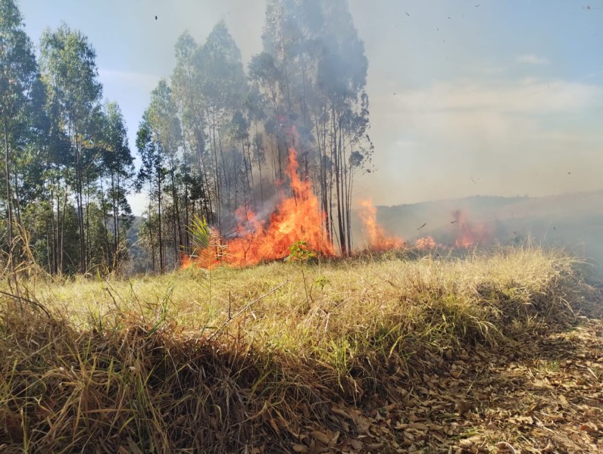 Bombeiros de Paraíso atuam em 30 ocorrências de incêndio durante o final de semana