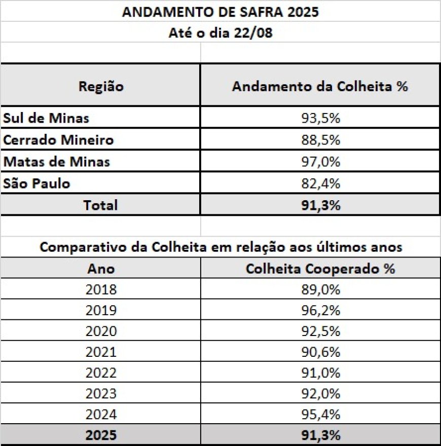 Cooxupé registra 91,3% da colheita de café em sua área de atuação