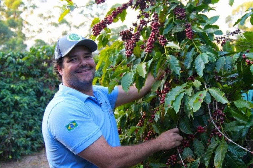 Produtores de Monte Santo e São Sebastião da Grama colhem primeiro café com menor pegada de carbono