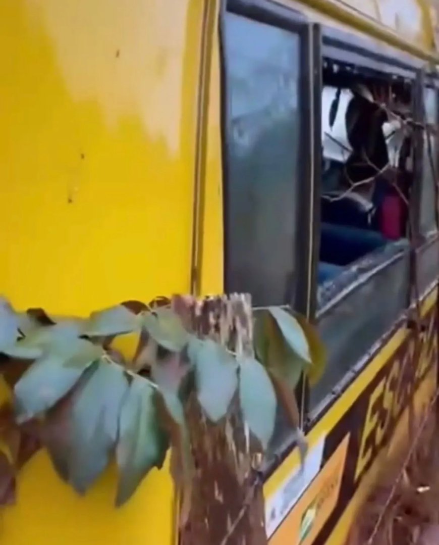 Em Nova Resende, ônibus escolar perde o controle e bate em barranco