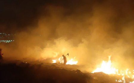 Quase 80 ocorrências de incêndio em vegetação foram atendidas pelos bombeiros no mês de agosto em Guaxupé e região