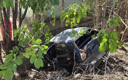 Condutora perde o controle do veículo ao bater em caminhão e cai em ribanceira na rodovia MGC-491
