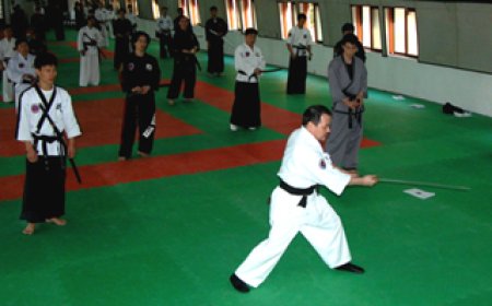 Clube Guaxupé recebe Seminário Internacional de Hapkido  com mestre sul-coreano Ko Ju Sik