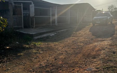 Casal é preso por furtar objetos e documentos pertencentes a ONG de animais abandonados