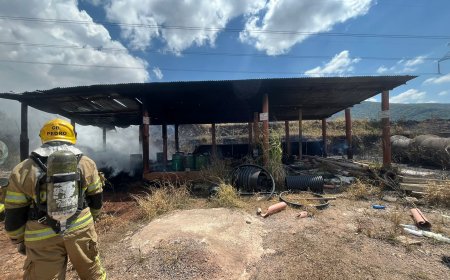 Autor de incêndio em vegetação é preso em Poços de Caldas