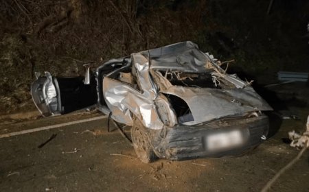 Motorista morre após desviar veículo de capivara no Sul de Minas