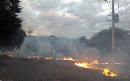 Queimadas avançam em MG e prejudicam mais que o dobro de clientes em agosto