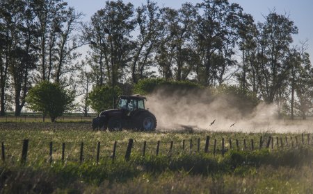 Plantio de soja 2025/2026 começa com clima favorável, mas cenário econômico e La Niña acendem alerta