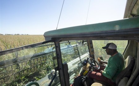 Produtor rural terá acesso a mentoria gratuita ao contratar crédito do BDMG para investir em agricultura sustentável