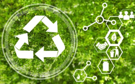 Cooxupé é reconhecida na Lista Positiva por ações ambientais