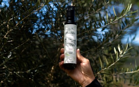 Azeite produzido no Sul de Minas conquista prêmio de melhor do Brasil em Paris